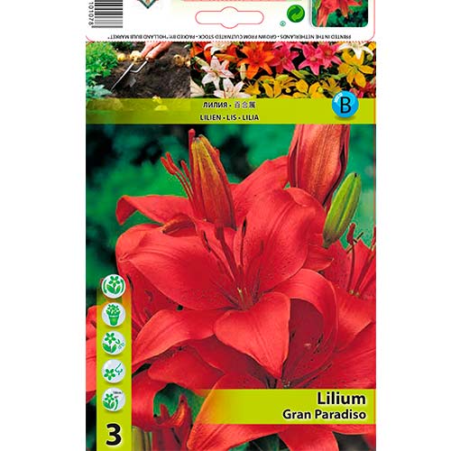 Crin Gran Paradiso imagine 1 articol 76467