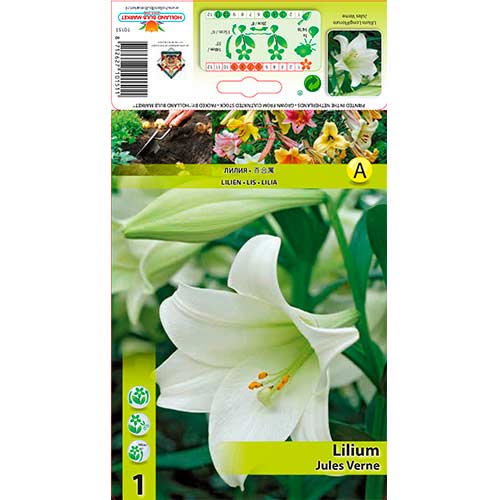 Crin Jules Verne imagine 1 articol 70432