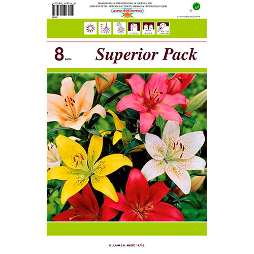 Crin LA-Hybrid mix multicolor imagine 1 articol 76469