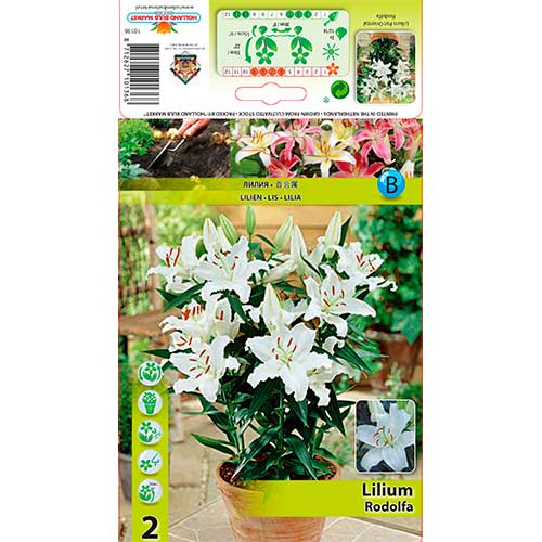 Crin Rodolfa imagine 1 articol 76607