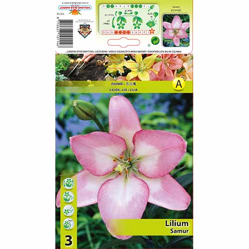 Crin Samur imagine 1 articol 70274