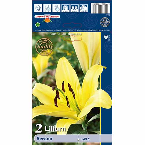 Crin Serano imagine 1 articol 70233