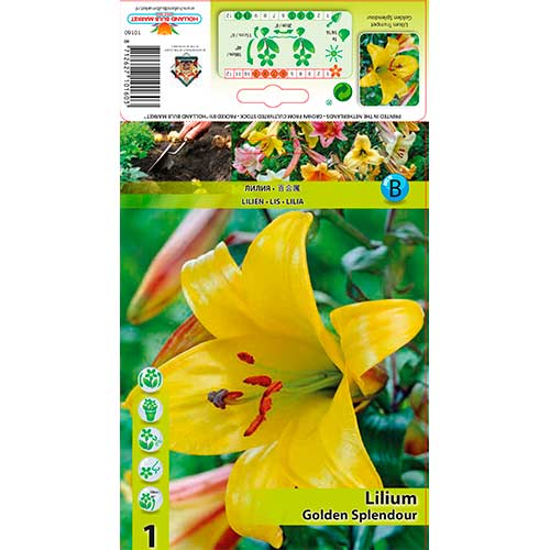 Crin Golden Splendour imagine 1 articol 76309