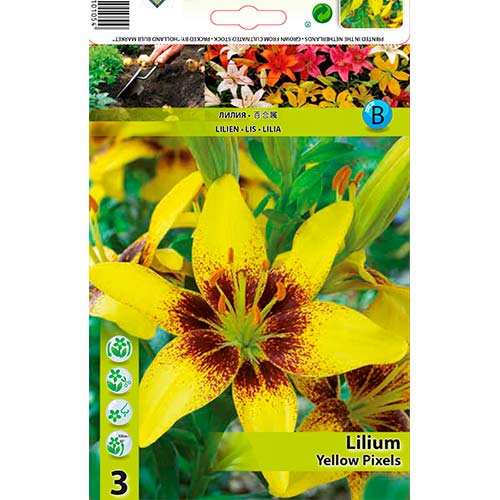 Crin Yellow Pixels imagine 1 articol 70470