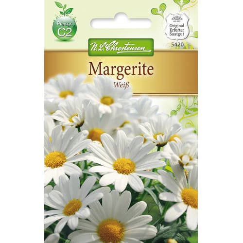 Crizantemă White imagine 1 articol 78972