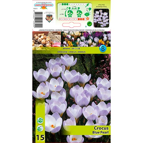 Brândușe Blue Pearl imagine 1 articol 67327