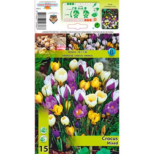 Brândușe botanical mix multicolor imagine 1 articol 67333