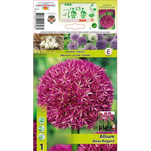 Czosnek (Allium) Beau Regard interface.image 1 interface.art 68054