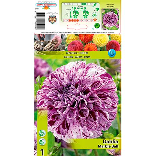 Dalie Marble Ball imagine 1 articol 76215