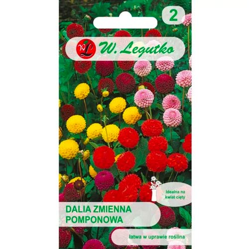 Dalie tip pompon, Mix Legutko imagine 1 articol 50091