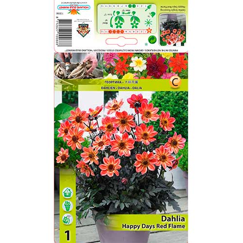 Далия Happy Days Red Flame изображение 1 артикул 76213