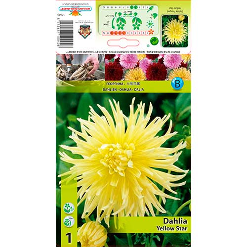 Далия Yellow Star изображение 1 артикул 76432