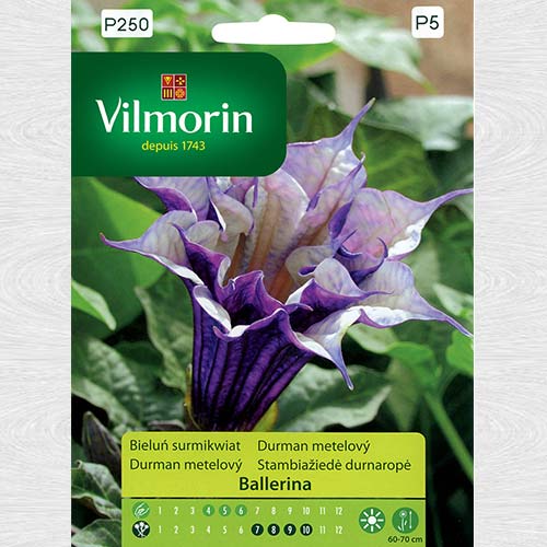 Datura Ballerina imagine 1 articol 69763