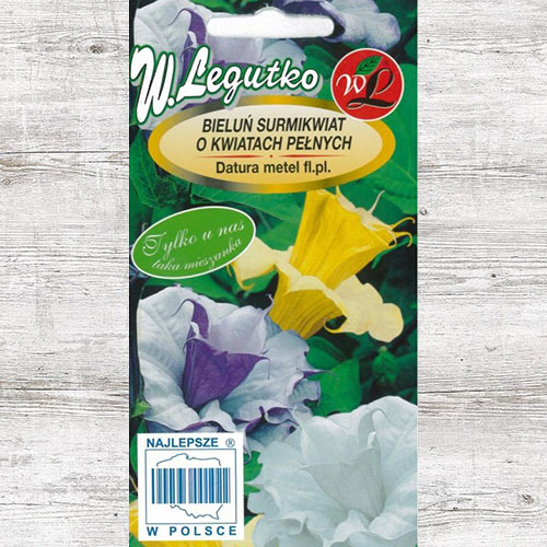Datura, mix multicolor Legutko imagine 1 articol 87119