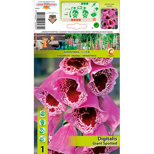 Degețel (Digitalis) Giant Spotted imagine 1 articol 70384