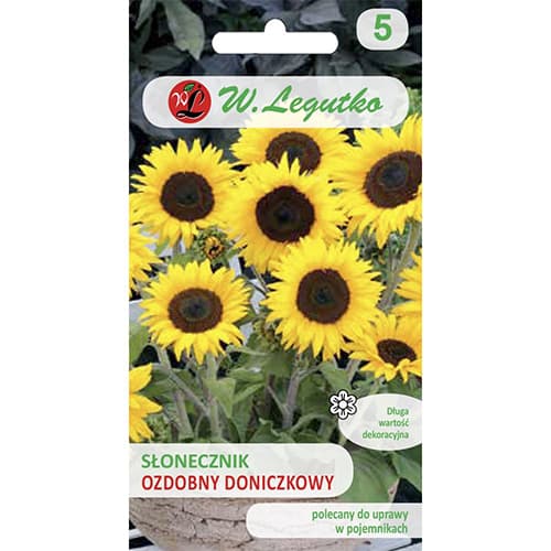 Декоративен слънчоглед саксиен Polino Cola изображение 1 артикул 69627