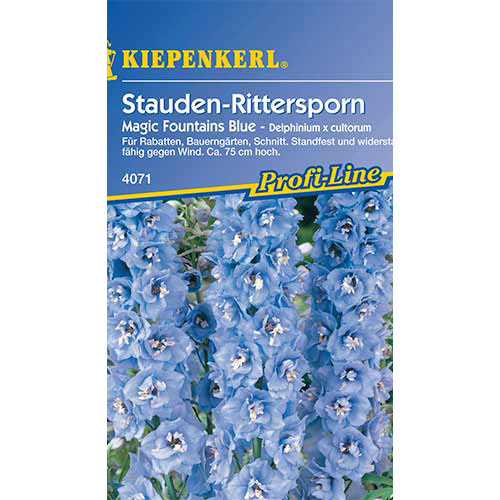Delphinium (Nemțișor) Magic Fountains Blue Kiepenkerl imagine 1 articol 86331