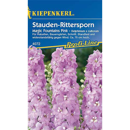 Delphinium (Nemțișor) Magic Fountains Pink Kiepenkerl imagine 1 articol 86332