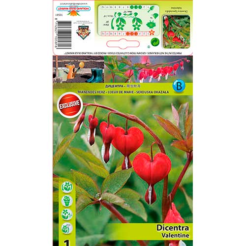Serduszka Valentine interface.image 1 interface.art 76224