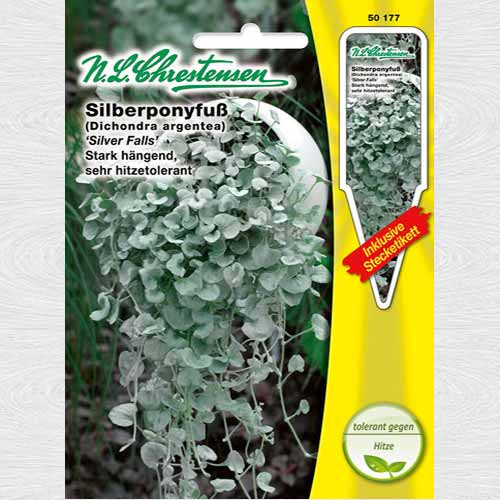 Dichondra argentea Silver Falls imagine 1 articol 69295