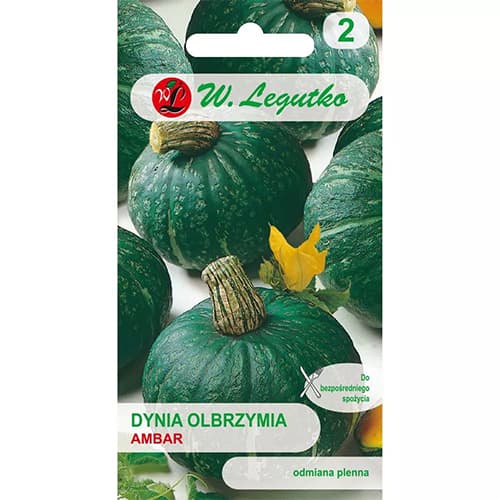 Dovleac Ambar imagine 1 articol 78453