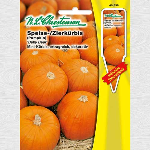 Dovleac Baby Bear imagine 1 articol 69186