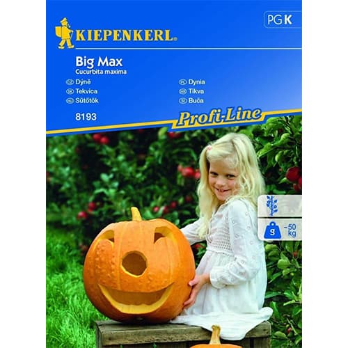Dovleac Big Max imagine 1 articol 86470