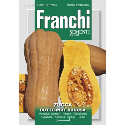 Dovleac Butternut Rugosa imagine 1 articol 87151