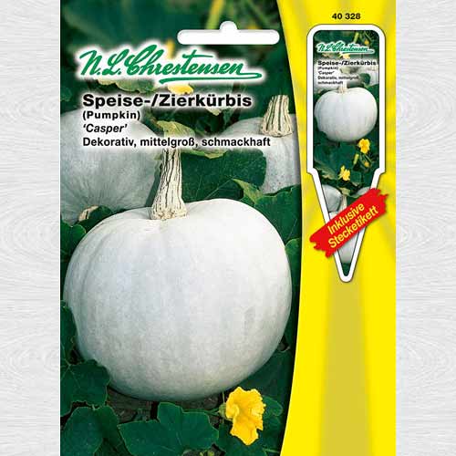 Dovleac Casper imagine 1 articol 69187