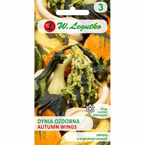 Dovleac decorativ Autumn Wings imagine 1 articol 96738