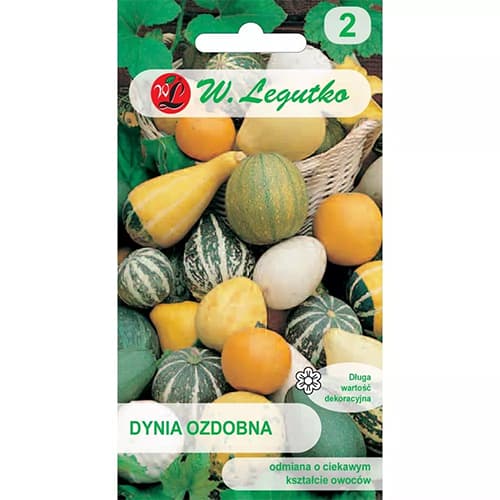 Dovleac decorativ, mix multicolor imagine 1 articol 69584