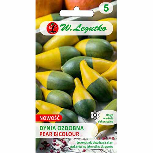 Dovleac decorativ Pear bicolour imagine 1 articol 96768