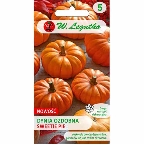 Dovleac decorativ Sweetie Pie imagine 1 articol 96770