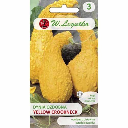 Dovleac decorativ Yellow Croockneck imagine 1 articol 96739