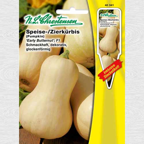 Dovleac Early Butternut F1 imagine 1 articol 69188