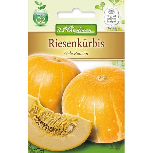 Dovleac Gele Reuzen imagine 1 articol 78795