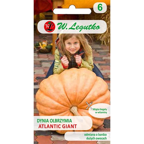Dovleac gigant Atlantic Giant imagine 1 articol 69460
