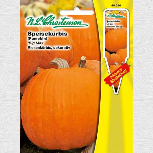 Dovleac gigant Big Max imagine 1 articol 69193