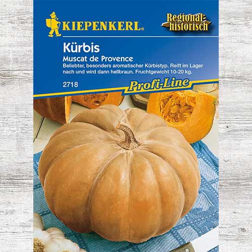 Dovleac Muscat de Provence imagine 1 articol 69127