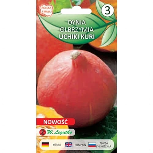 Dovleac Uchiki Kuri (Hokkaido) imagine 1 articol 78455