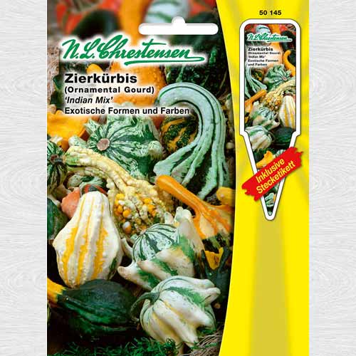 Dovlecel ornamental Indian Mix imagine 1 articol 69283