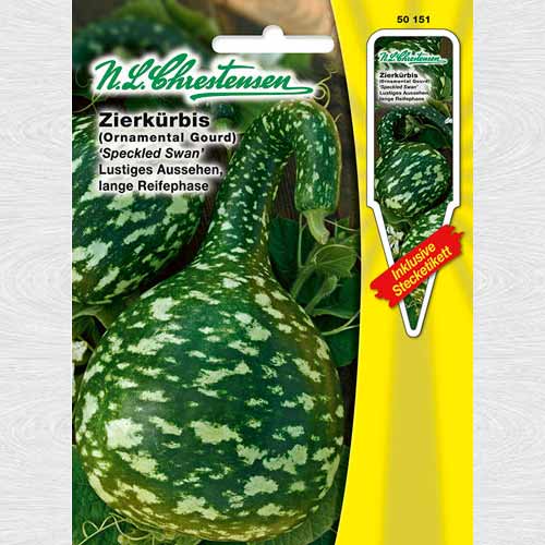 Dovlecel ornamental Speckled Swan imagine 1 articol 69285