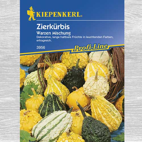 Dovlecel ornamental Warzen, mix multicolor imagine 1 articol 77451