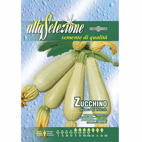 Dovlecel zucchini Bianca di Trieste imagine 1 articol 87152