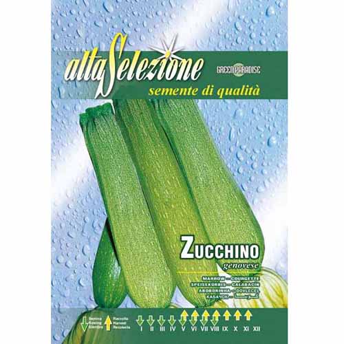 Dovlecel zucchini Genovese imagine 1 articol 96379