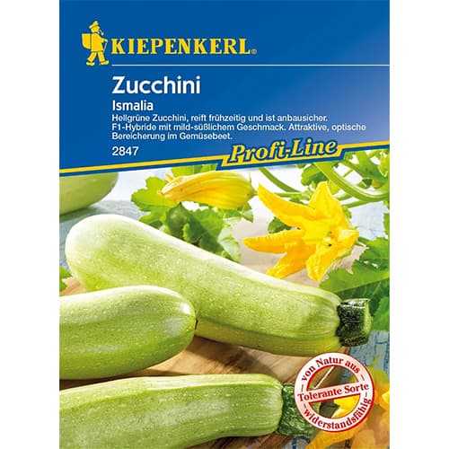 Dovlecel zucchini Ismalia F1 imagine 1 articol 86365