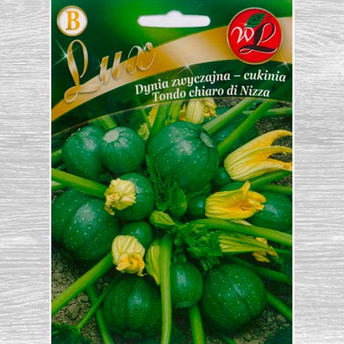 Dovlecel zucchiniTondo chiaro di Nizza imagine 1 articol 69466