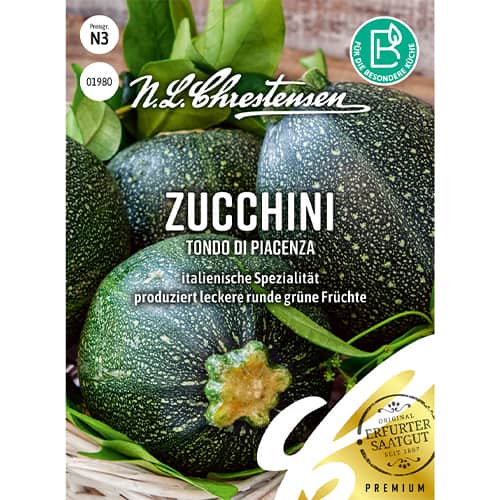 Dovlecel zucchini Tondo di Piacenza imagine 1 articol 86107