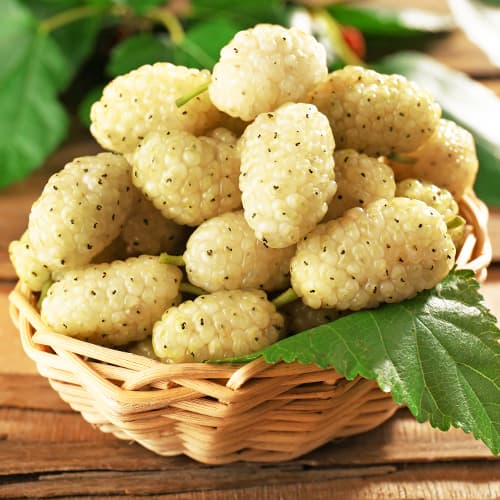 Dud alb, P9 imagine 1 articol 5858