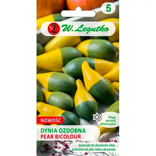Dynia ozdobna Pear Bicolour interface.image 1 interface.art 96768